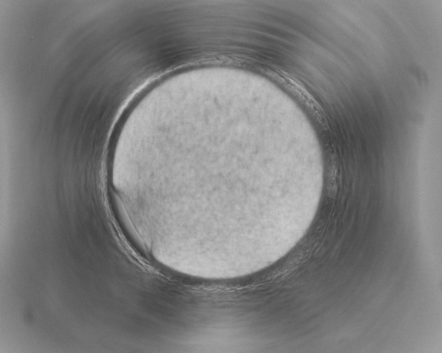 X0000115160896200912081406