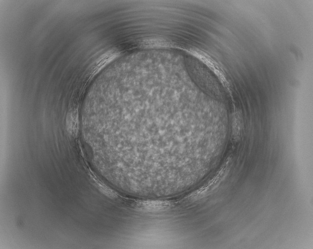 X0000115160897200912081405