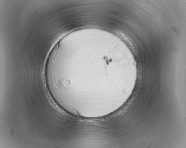 X0000115160900200912081405