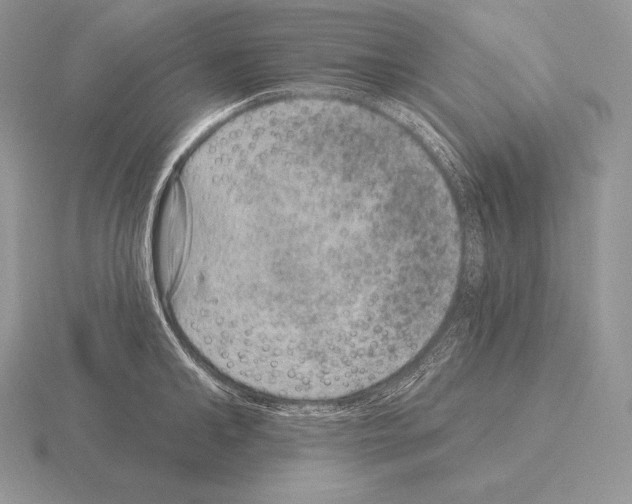 X0000115160902200912081405