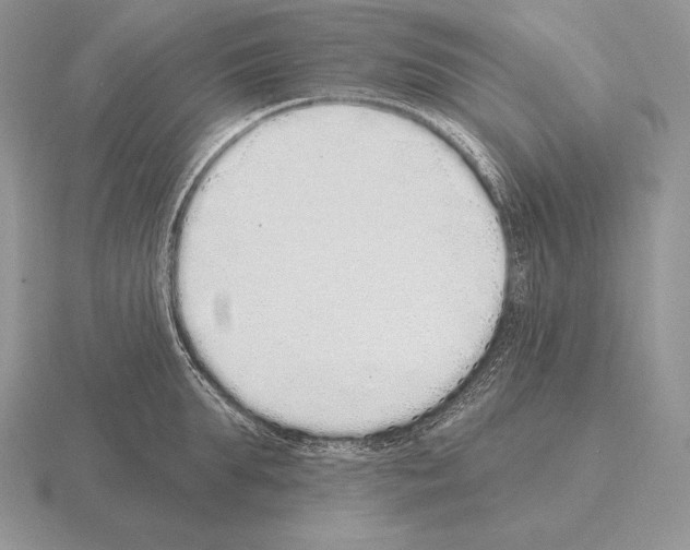 X0000115160903200912081405