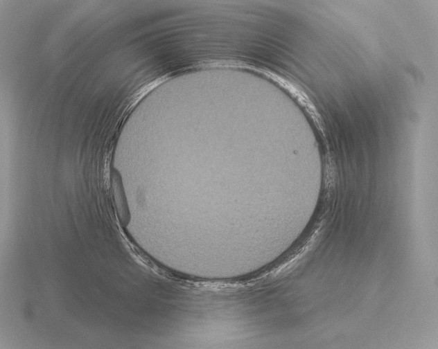 X0000115160905200912081405