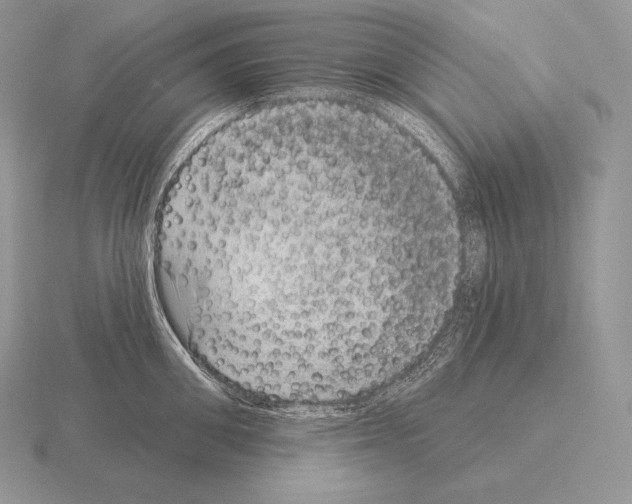 X0000115160906200912081405