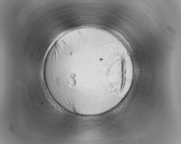 X0000115160908200912081405