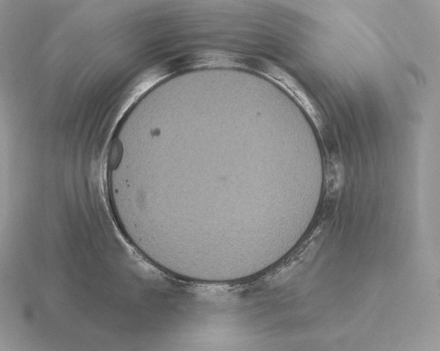 X0000115160909200912081405