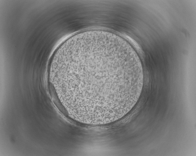 X0000115160910200912081405