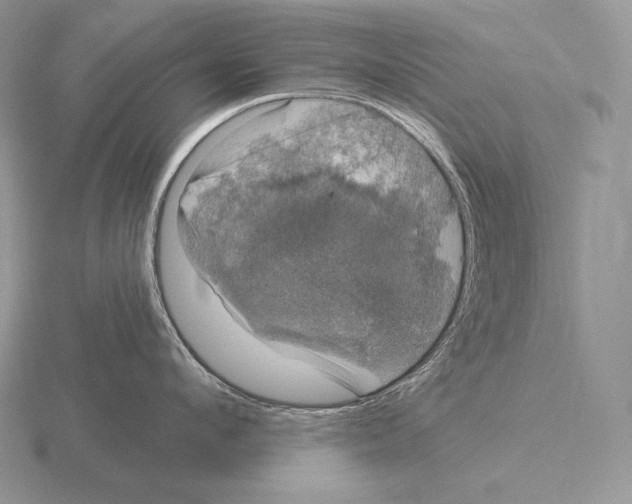 X0000115160912200912081405