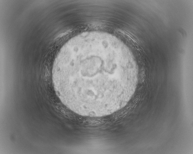 X0000115160917200912081405