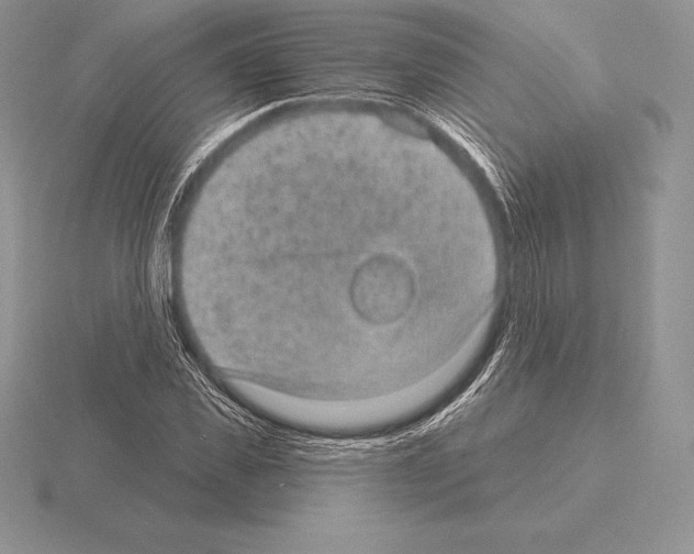 X0000115160925200912081405