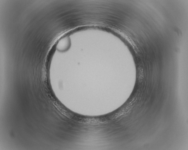 X0000115160927200912081405