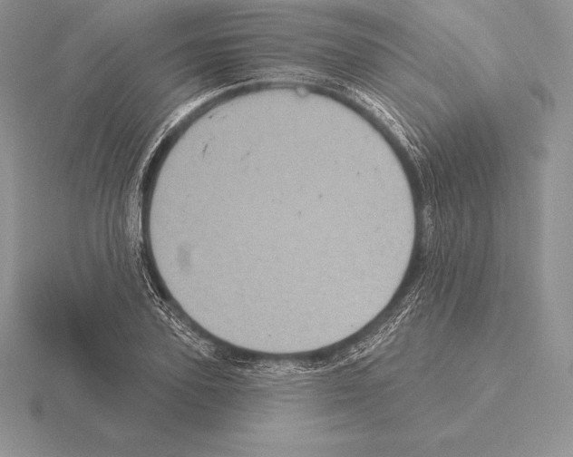 X0000115160931200912081405