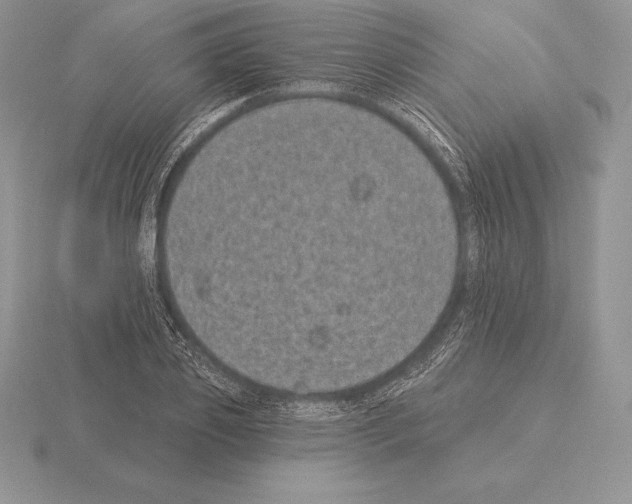 X0000115160933200912081405