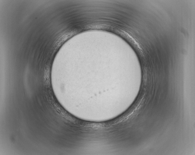 X0000115160937200912081405