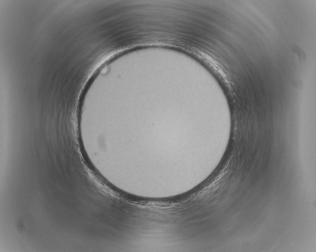 X0000115160942200912081405