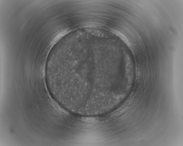 X0000115160946200912081405