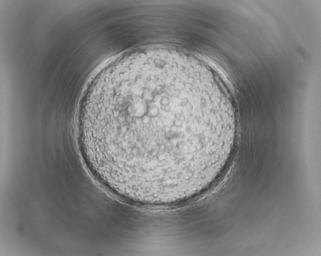 X0000115160949200912081405