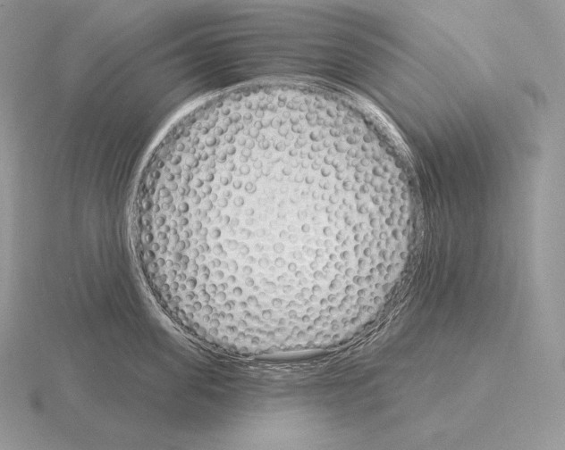 X0000115160955200912081405