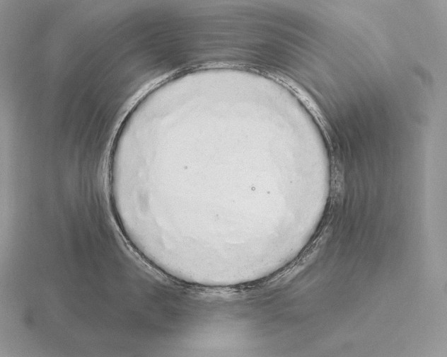 X0000115160957200912081405