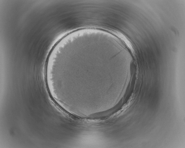 X0000115160958200912081405