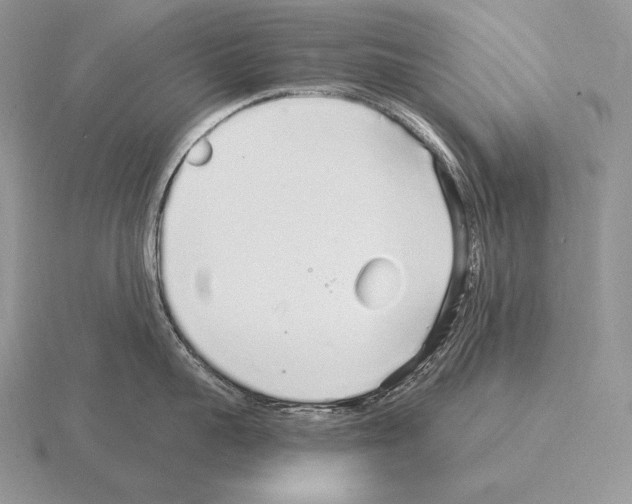 X0000115160959200912081405