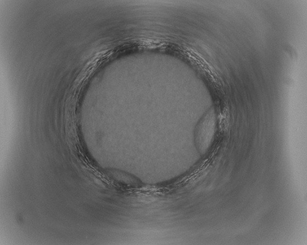 X0000115160961200912081405