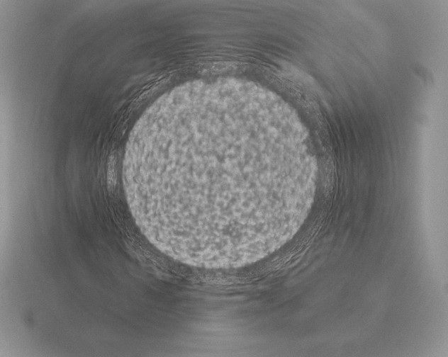 X0000115160962200912081405