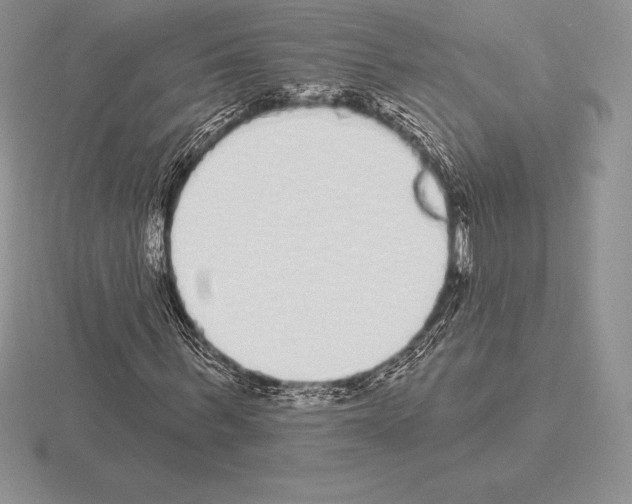 X0000115160963200912081405