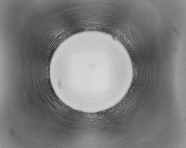 X0000115160964200912081405