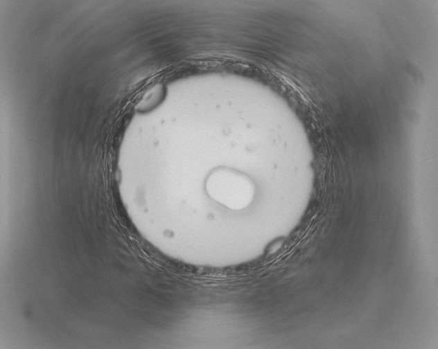 X0000115160965200912081405