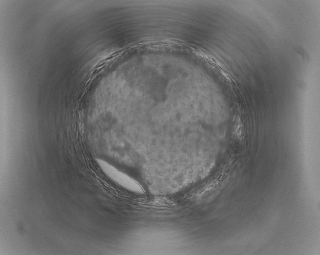 X0000115160966200912081404