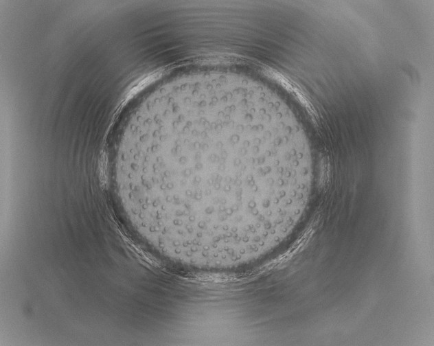 X0000115160970200912081404