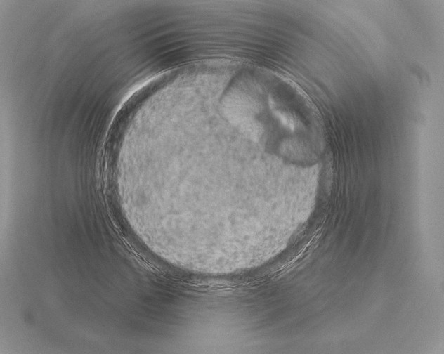 X0000115160971200912081404