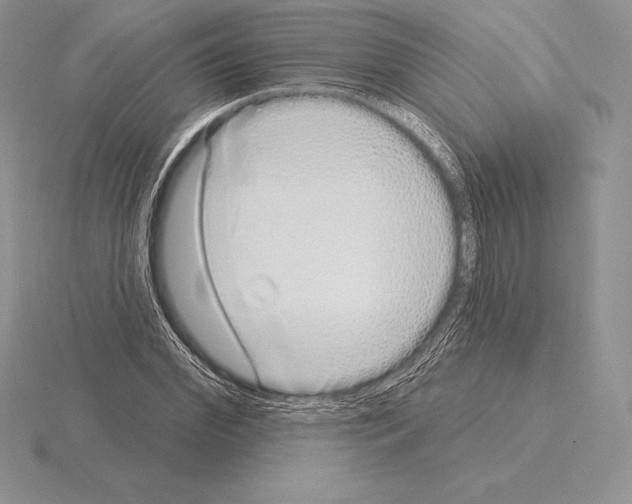 X0000115160972200912081404