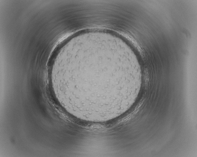 X0000115160974200912081404