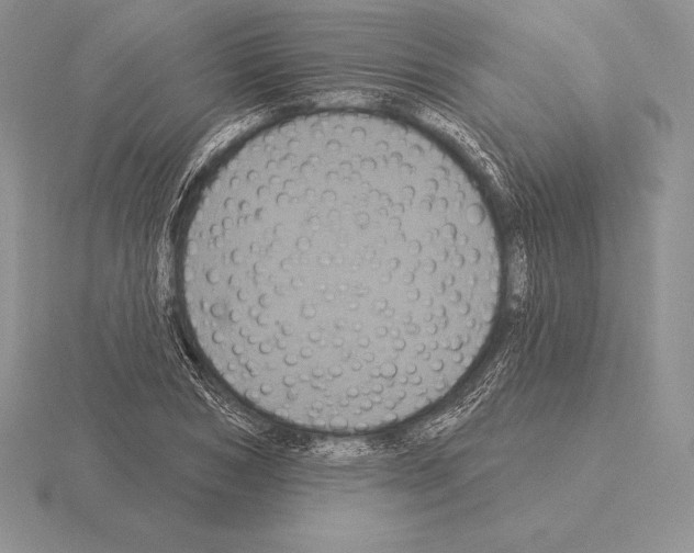 X0000115160978200912081404