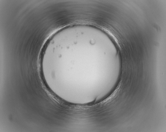 X0000115160981200912081404