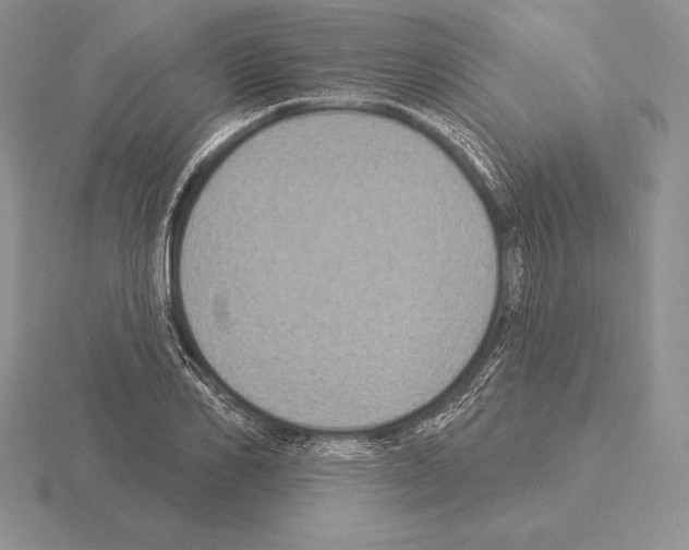 X0000115160982200912081404