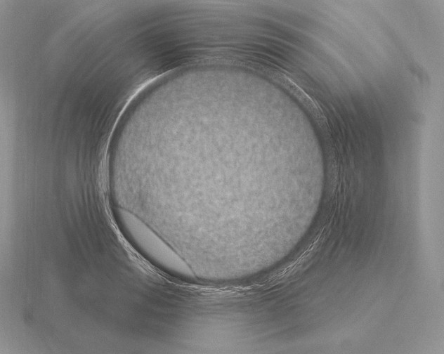 X0000115160988200912081404