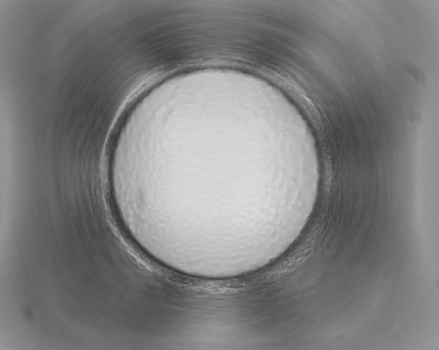 X0000115160990200912081404