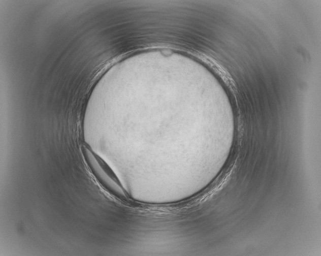 X0000115160993200912081404