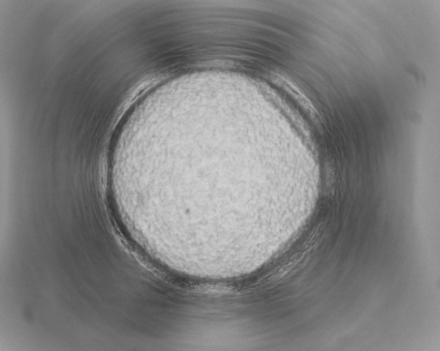 X0000115160994200912081404