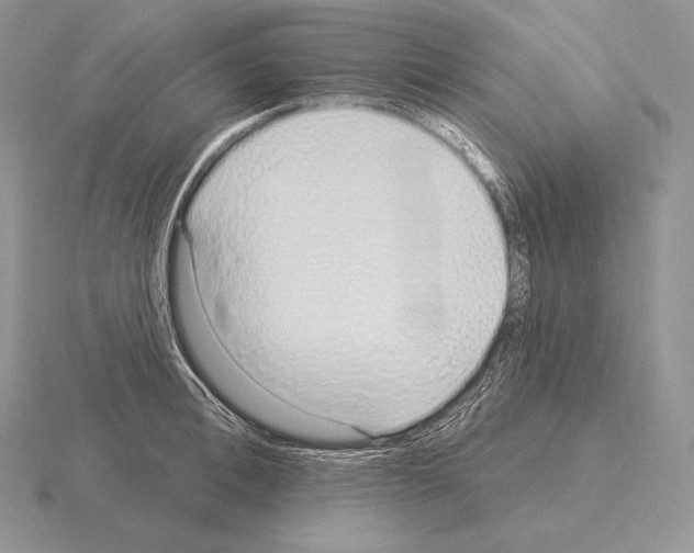 X0000115160996200912081404