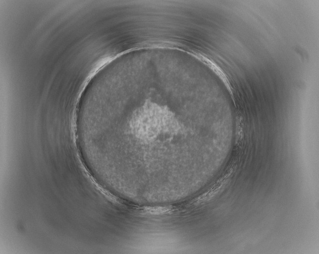 X0000115160997200912081404