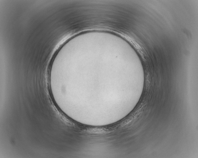 X0000115160998200912081404