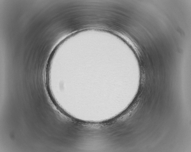 X0000115160999200912081404