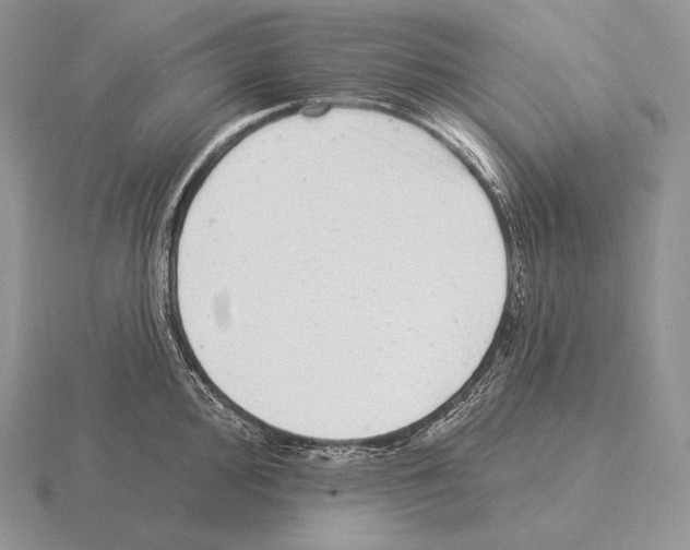 X0000115161000200912081404