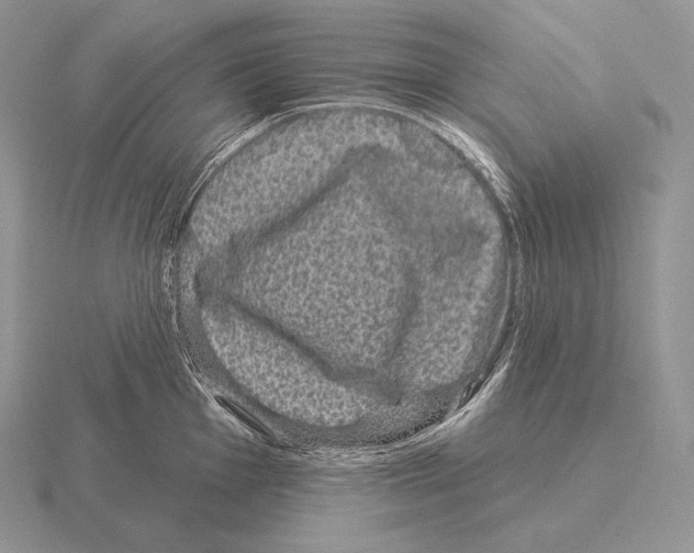 X0000115161001200912081404