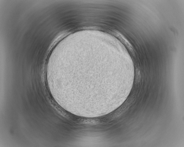 X0000115161002200912081404