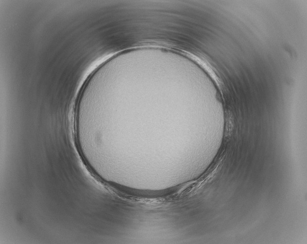 X0000115161003200912081404