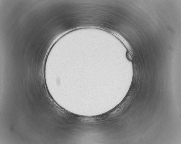 X0000115161004200912081404